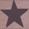 Texas Outlaw Writers